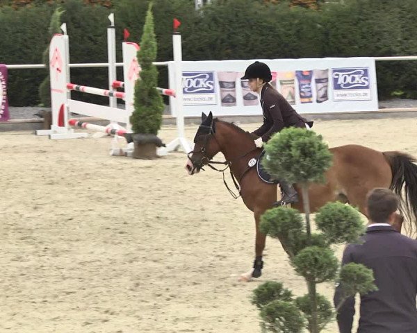 Reitturnier Durmersheim-Hardt 2017