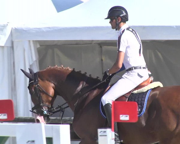 Reitturnier Illertissen 2017