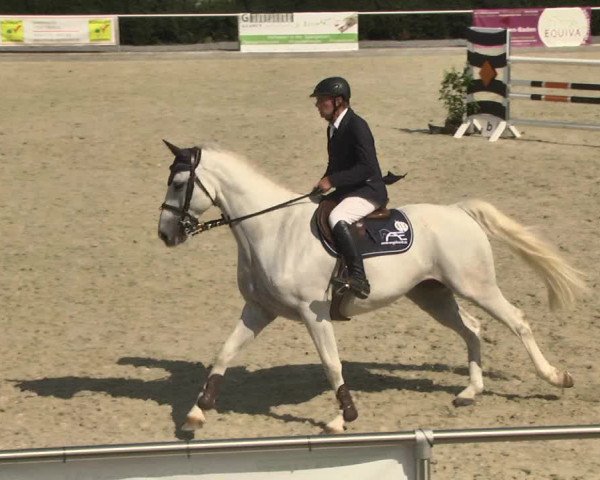 Reitturnier Durmersheim-Hardt 2017
