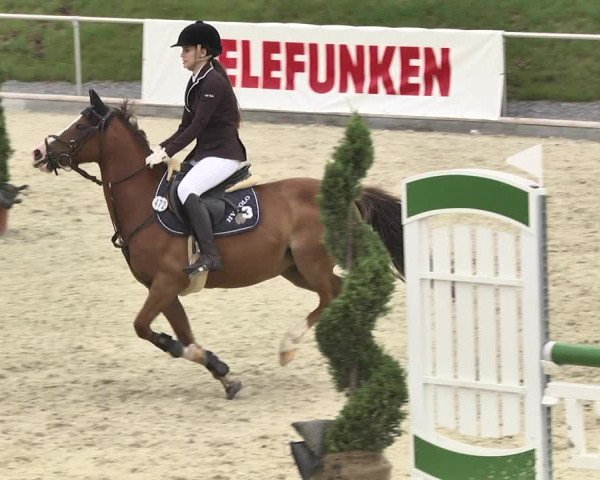 Reitturnier Durmersheim-Hardt 2017
