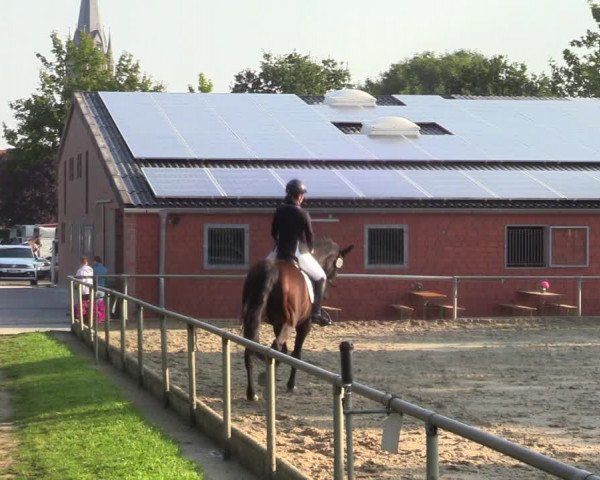 Reitturnier Ascheberg 2021