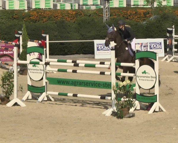 Reitturnier Durmersheim-Hardt 2017