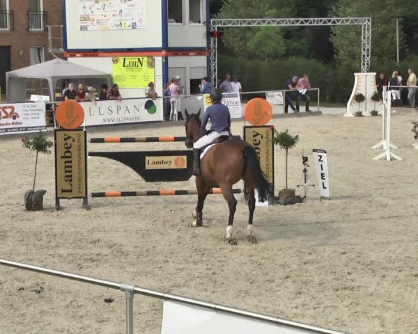Reitturnier Durmersheim-Hardt 2017