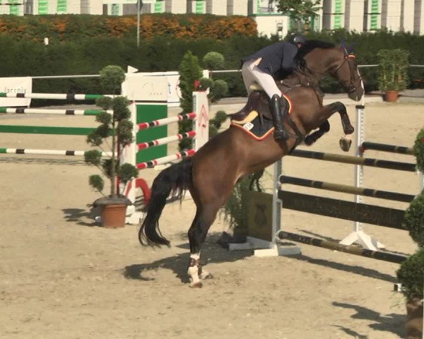 Reitturnier Durmersheim-Hardt 2017