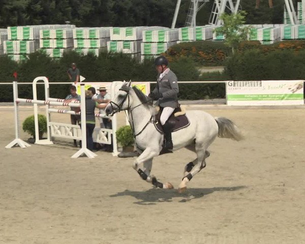 Reitturnier Durmersheim-Hardt 2017