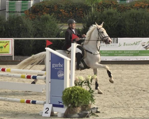 Reitturnier Durmersheim-Hardt 2017