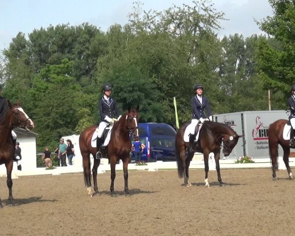 Reitturnier Düren - An der Kuhbrücke 2017