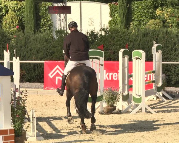 Reitturnier Durmersheim-Hardt 2017