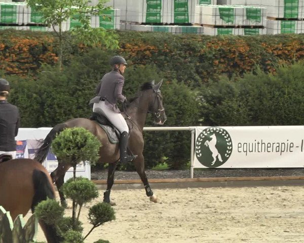 Reitturnier Durmersheim-Hardt 2017