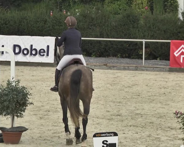 Reitturnier Durmersheim-Hardt 2017