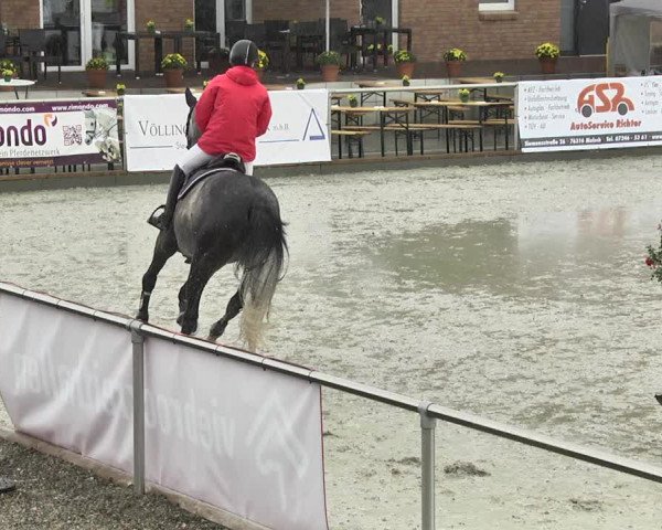 Reitturnier Durmersheim-Hardt 2017