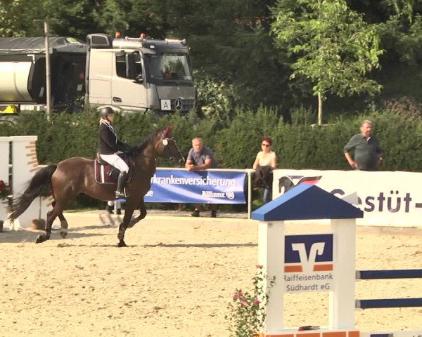 Reitturnier Durmersheim-Hardt 2017