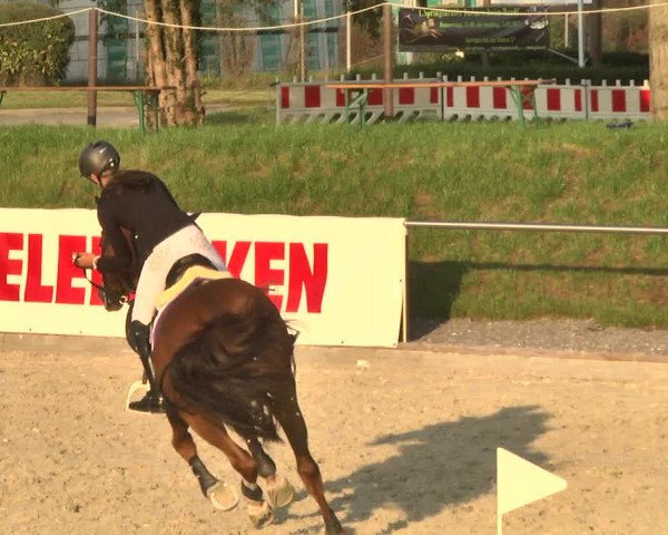 Reitturnier Durmersheim-Hardt 2017