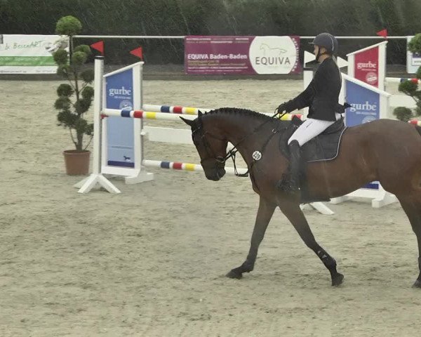 Reitturnier Durmersheim-Hardt 2017