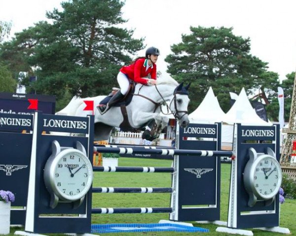 jumper Cadanz (KWPN (Royal Dutch Sporthorse), 2007, from Mr Blue)