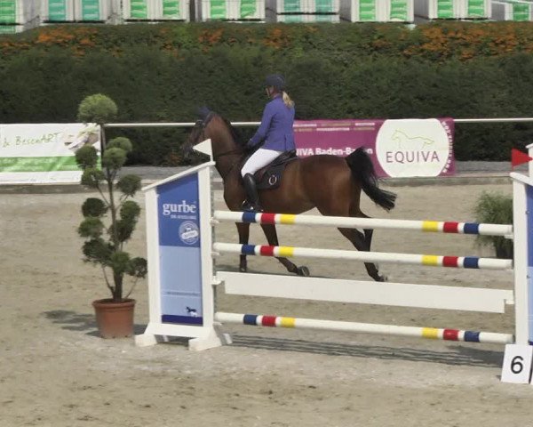 Reitturnier Durmersheim-Hardt 2017