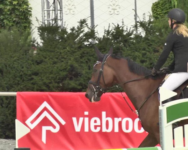 Reitturnier Durmersheim-Hardt 2017