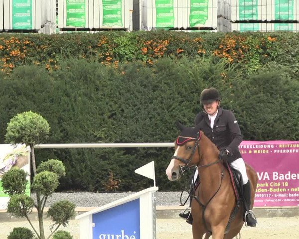Reitturnier Durmersheim-Hardt 2017