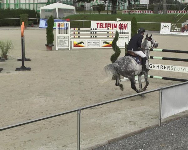 Reitturnier Durmersheim-Hardt 2017