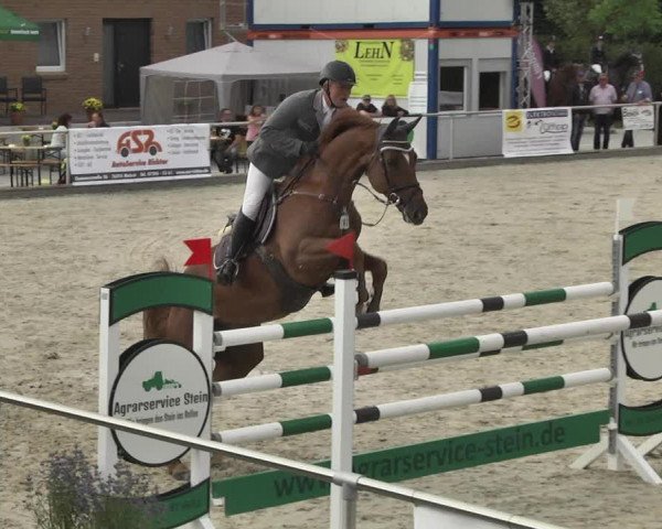 Reitturnier Durmersheim-Hardt 2017