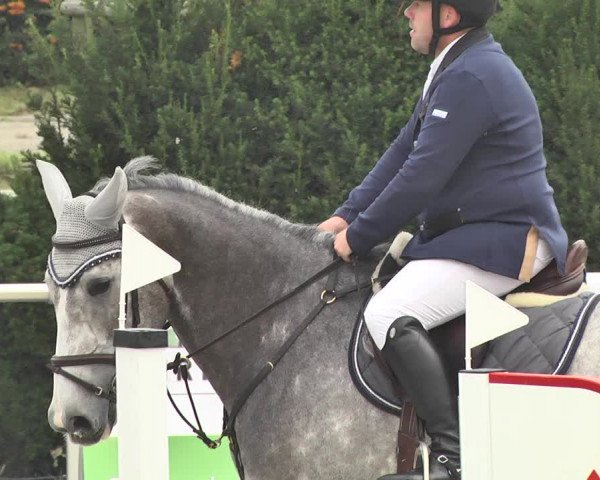 Reitturnier Durmersheim-Hardt 2017