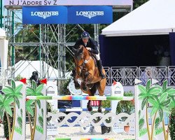 jumper N. J 'adore Sv Z (Zangersheide riding horse, 2009, from Numero Uno)