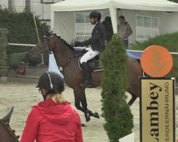 Reitturnier Durmersheim-Hardt 2017