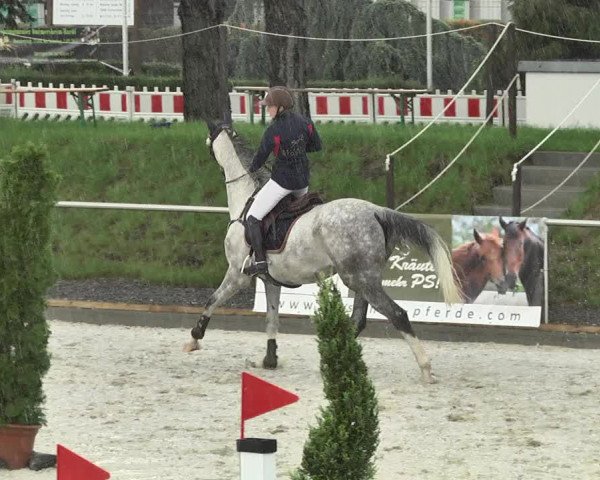 Reitturnier Durmersheim-Hardt 2017