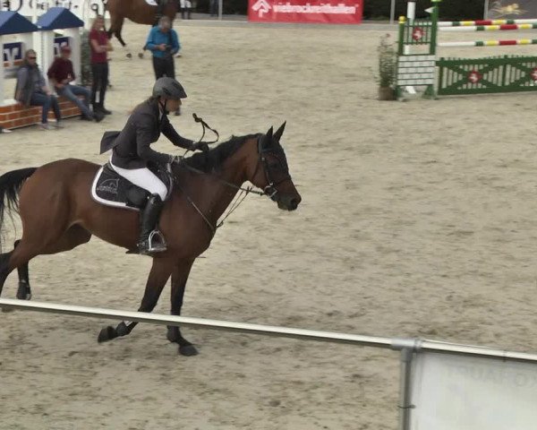 Reitturnier Durmersheim-Hardt 2017