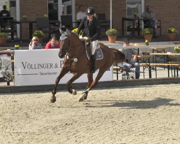 Reitturnier Durmersheim-Hardt 2017