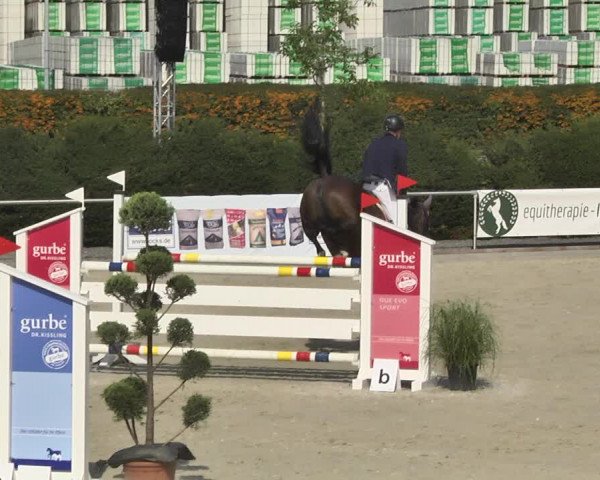 Reitturnier Durmersheim-Hardt 2017