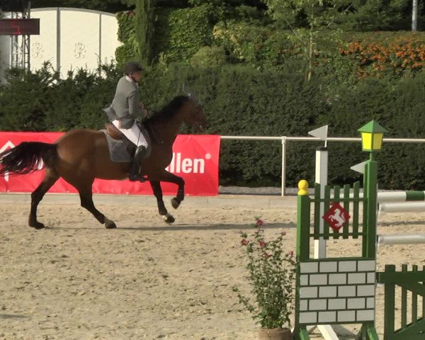 Reitturnier Durmersheim-Hardt 2017