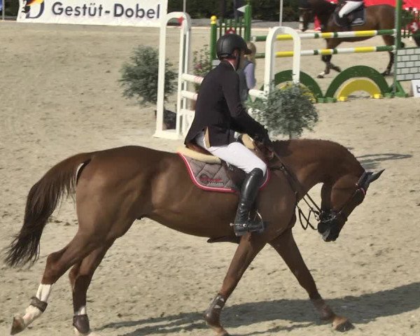 Reitturnier Durmersheim-Hardt 2017