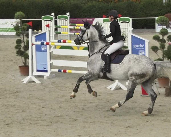 Reitturnier Durmersheim-Hardt 2017