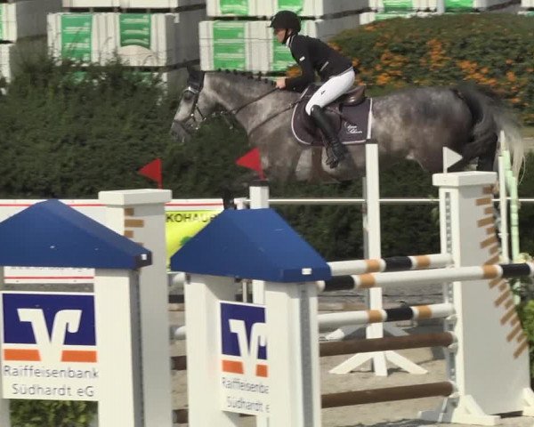 Reitturnier Durmersheim-Hardt 2017