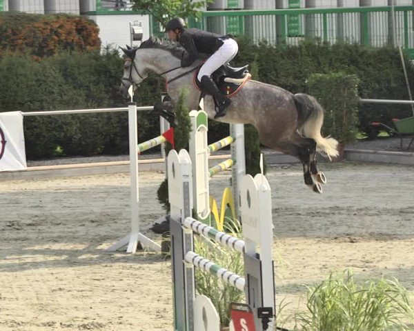 Reitturnier Durmersheim-Hardt 2017