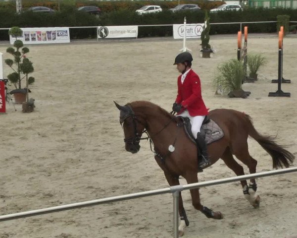 Reitturnier Durmersheim-Hardt 2017