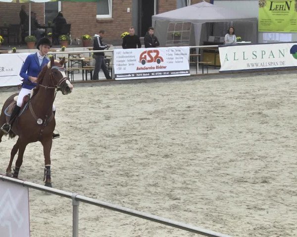 Reitturnier Durmersheim-Hardt 2017