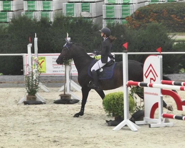 Reitturnier Durmersheim-Hardt 2017