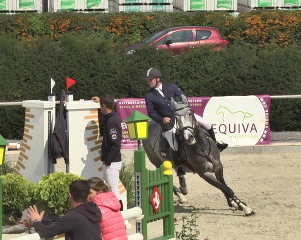Reitturnier Durmersheim-Hardt 2017