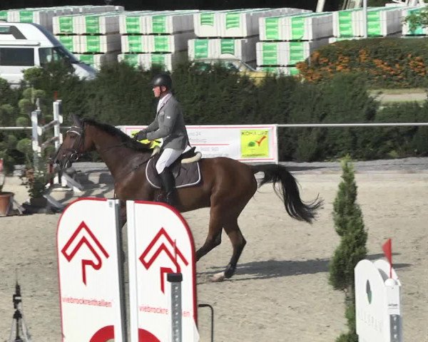 Reitturnier Durmersheim-Hardt 2017