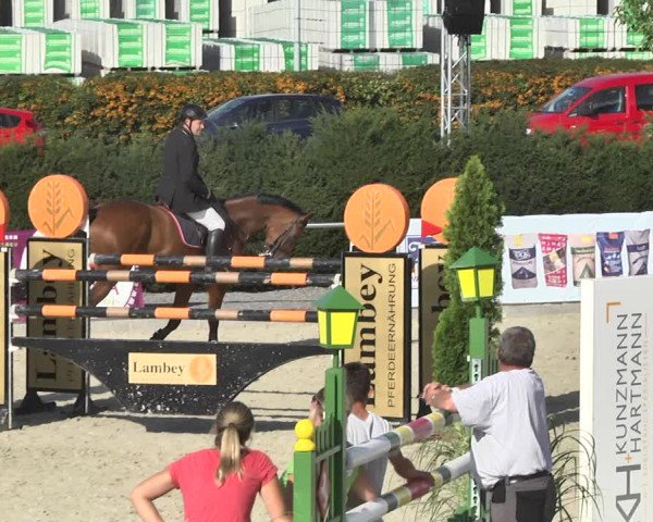 Reitturnier Durmersheim-Hardt 2017