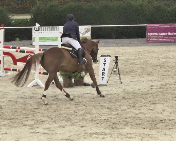 Reitturnier Durmersheim-Hardt 2017