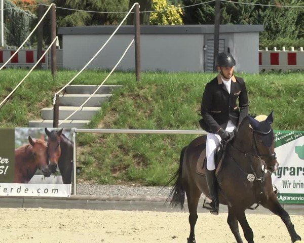 Reitturnier Durmersheim-Hardt 2017