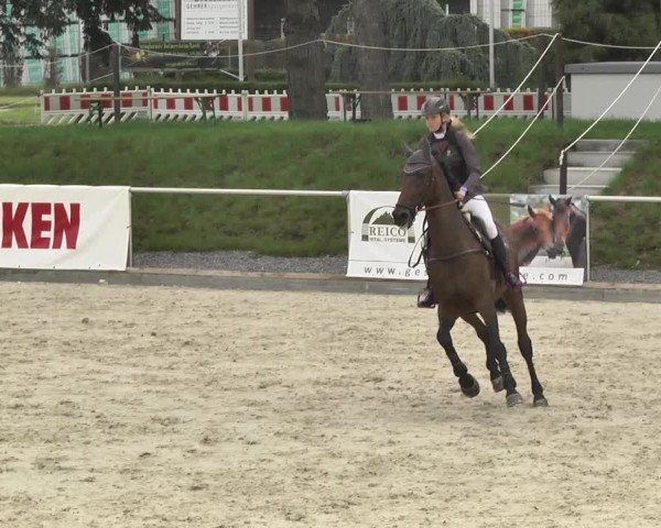 Reitturnier Durmersheim-Hardt 2017