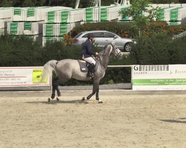 Reitturnier Durmersheim-Hardt 2017
