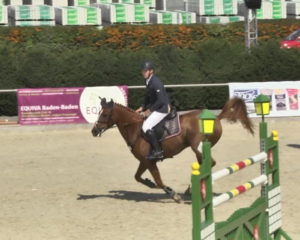 Reitturnier Durmersheim-Hardt 2017