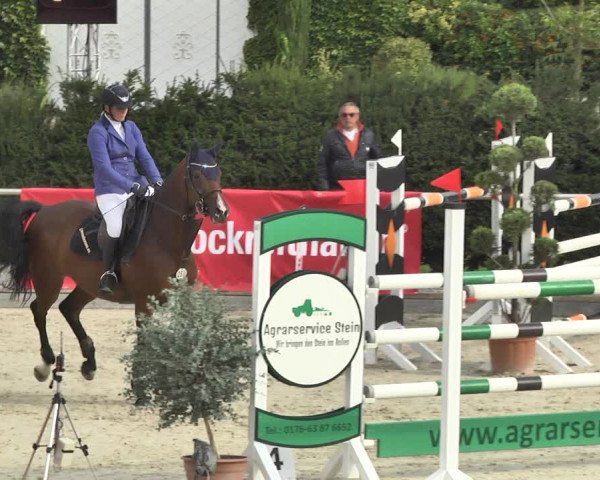 Reitturnier Durmersheim-Hardt 2017