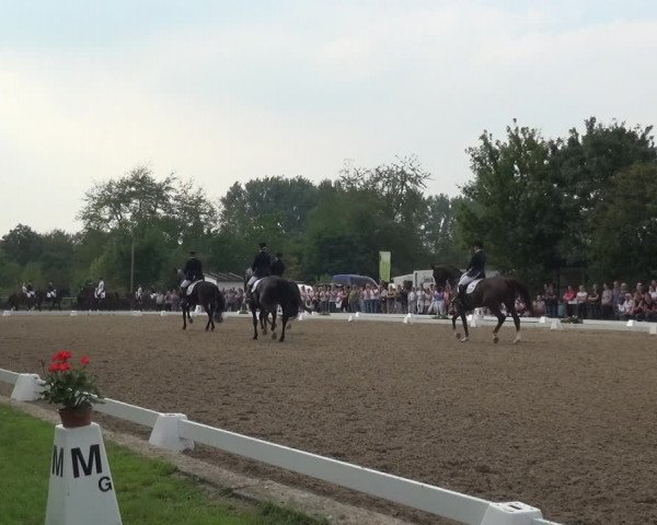 Reitturnier Düren - An der Kuhbrücke 2017