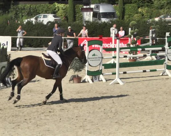 Reitturnier Durmersheim-Hardt 2017